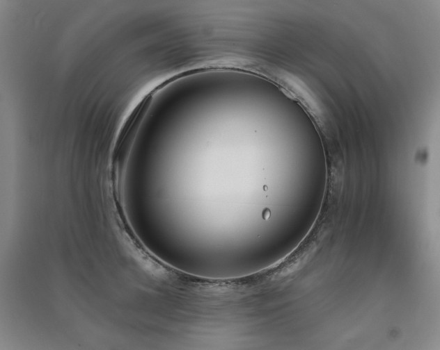 X0000091510948200708171153