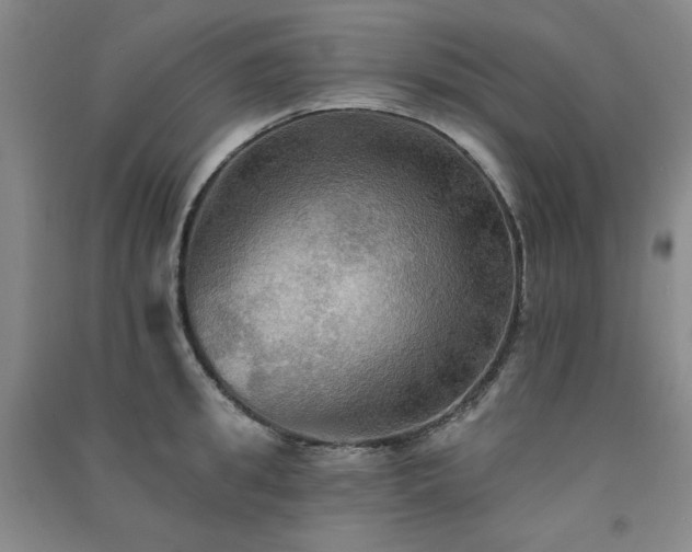 X0000091510949200708171153