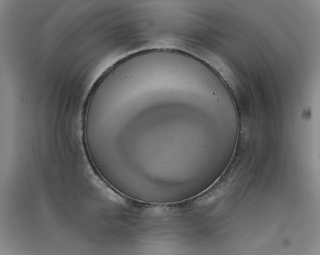 X0000091510950200708171153