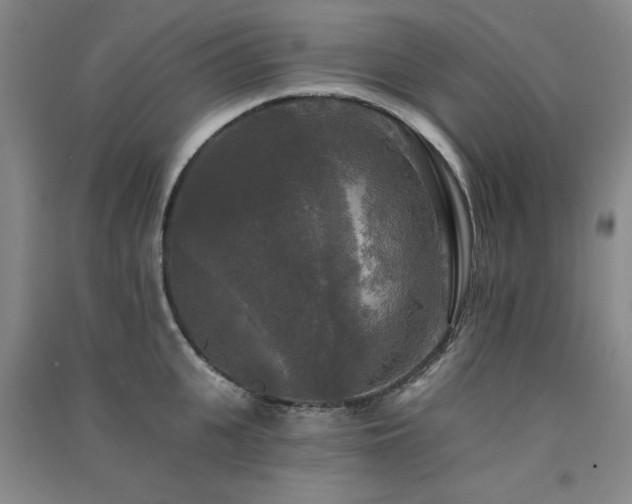 X0000091510951200708171153