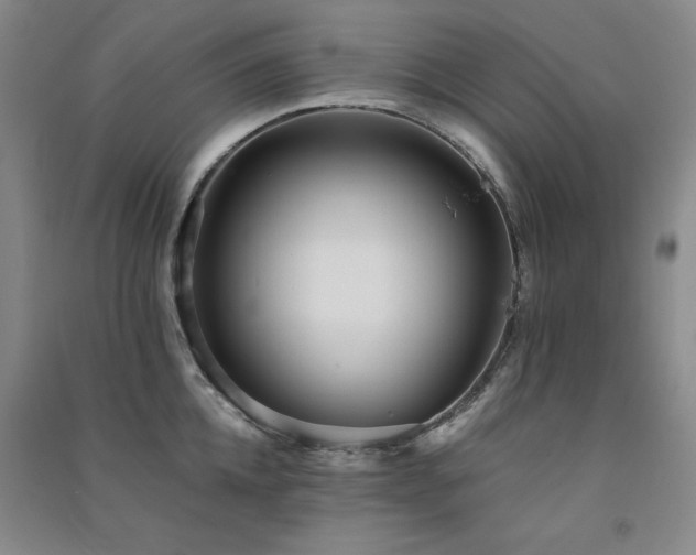 X0000091510952200708171153