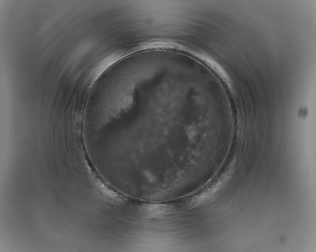 X0000091510953200708171153