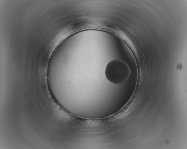 X0000091510954200708171153