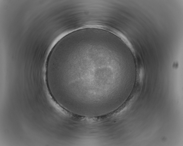 X0000091510955200708171153