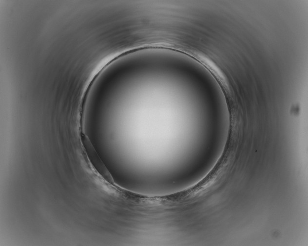X0000091510956200708171153