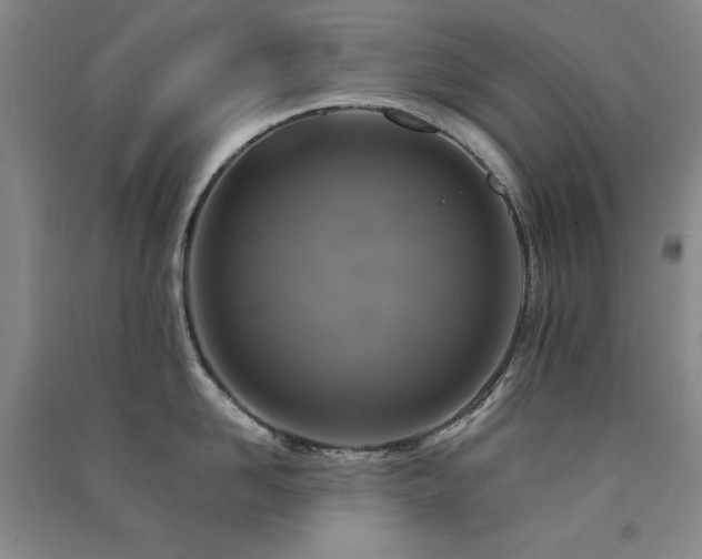 X0000091510958200708171153