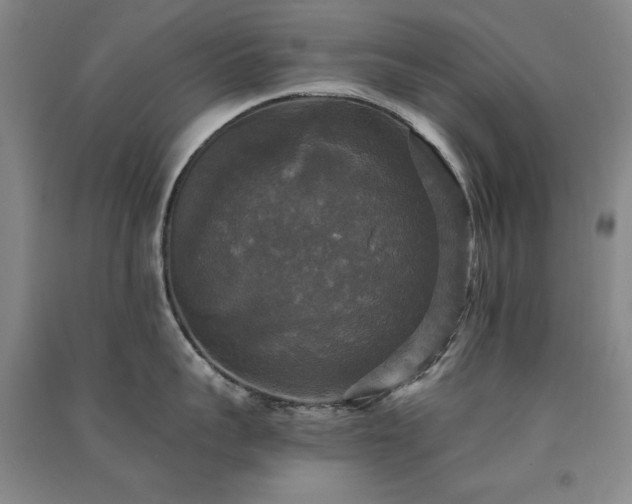 X0000091510959200708171153