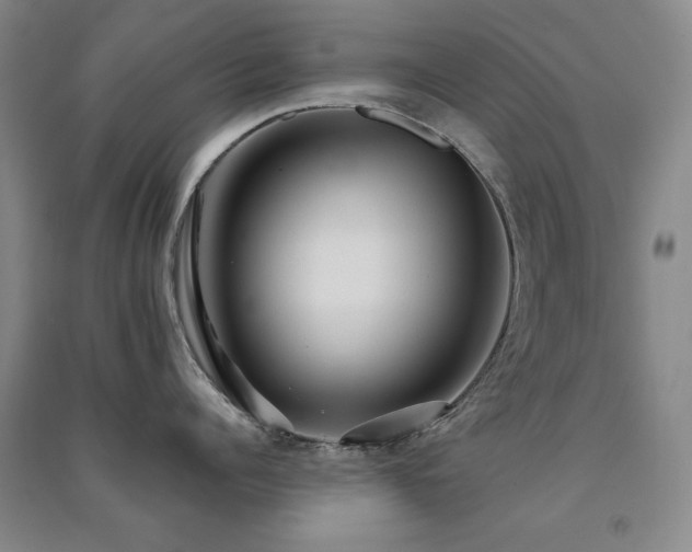 X0000091510960200708171153