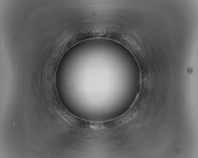 X0000091510961200708171152
