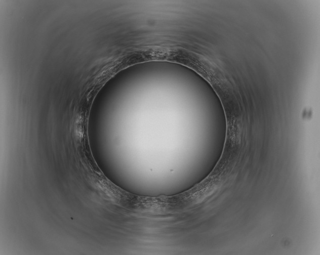 X0000091510962200708171152