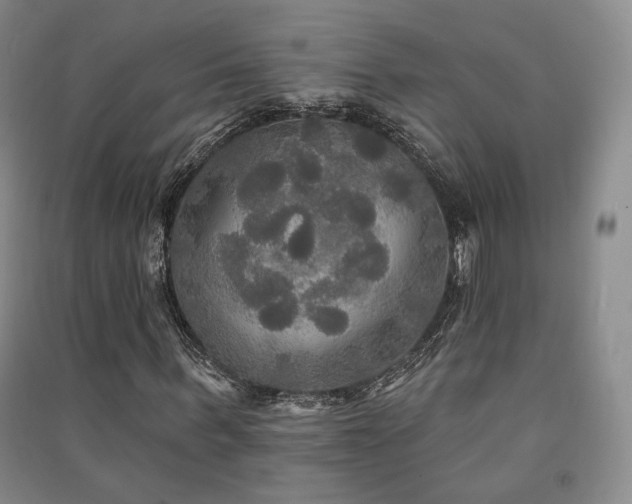 X0000091510963200708171152