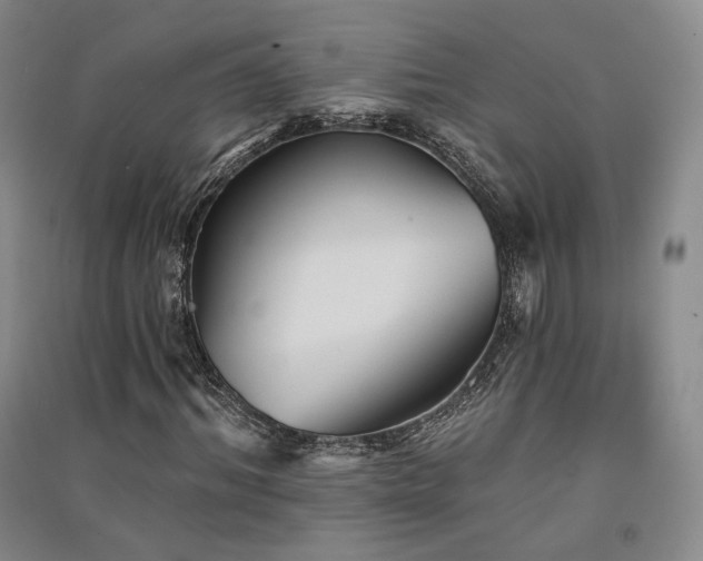 X0000091510964200708171152