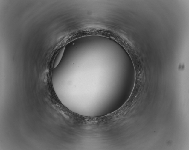 X0000091510965200708171152