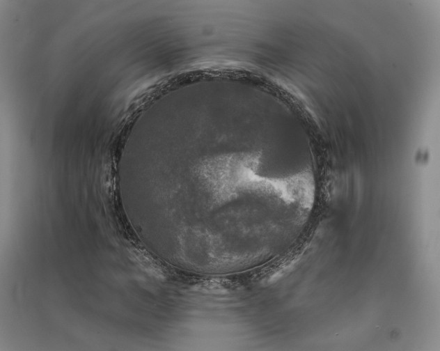 X0000091510966200708171152