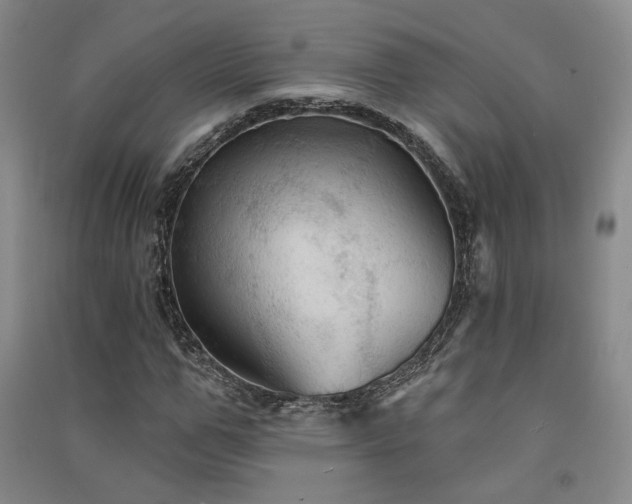 X0000091510967200708171152