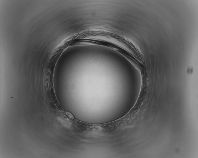 X0000091510968200708171152