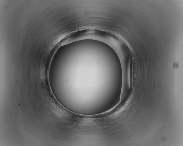 X0000091510969200708171152