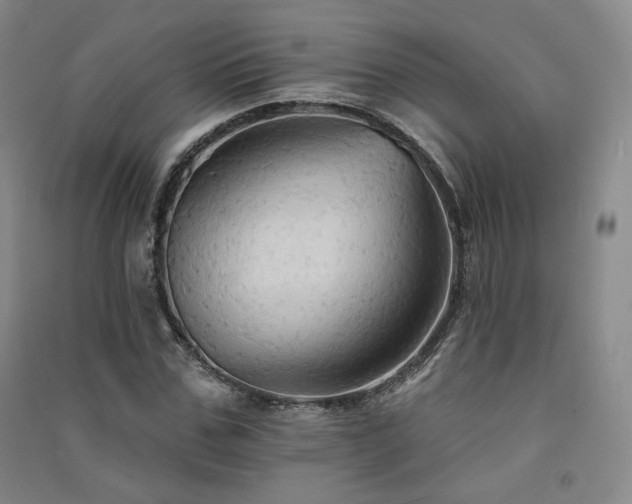 X0000091510971200708171152