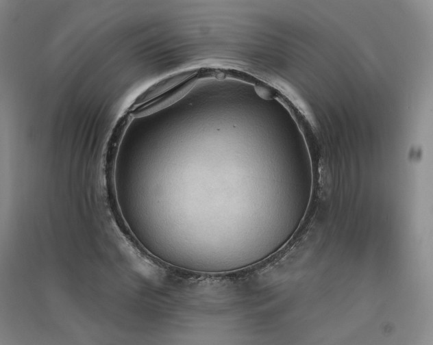 X0000091510972200708171152