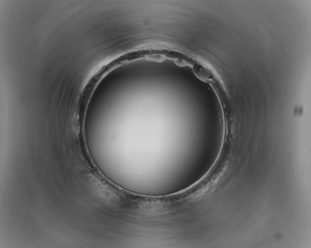 X0000091510973200708171152