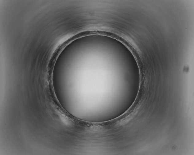X0000091510974200708171152