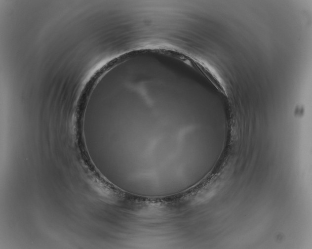 X0000091510975200708171152