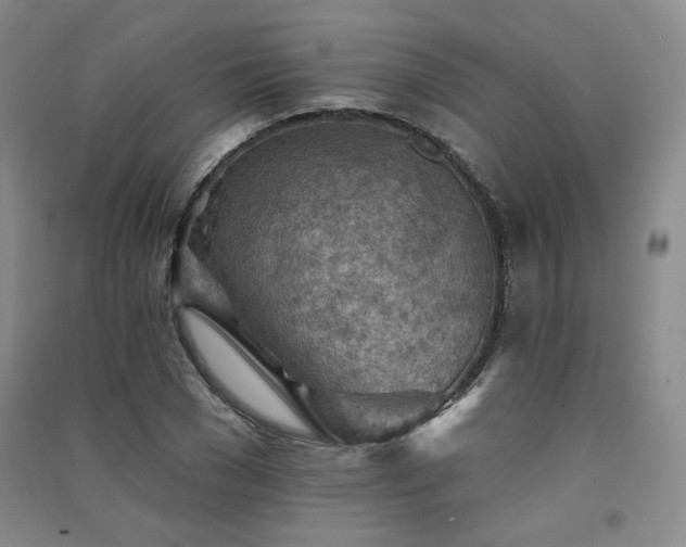 X0000091510977200708171152