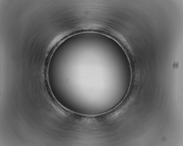 X0000091510978200708171152