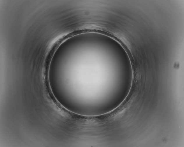 X0000091510979200708171152