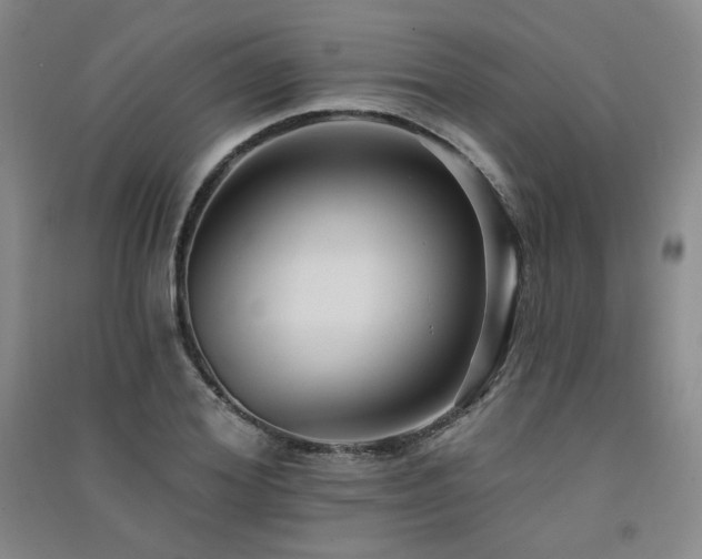 X0000091510980200708171152