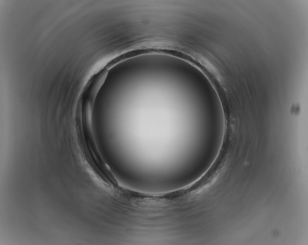 X0000091510981200708171152