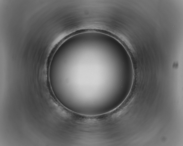 X0000091510982200708171152