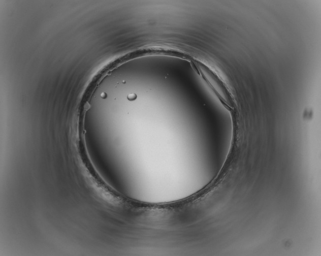 X0000091510984200708171152