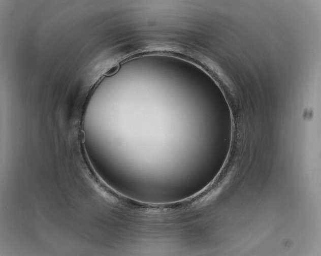 X0000091510985200708171152