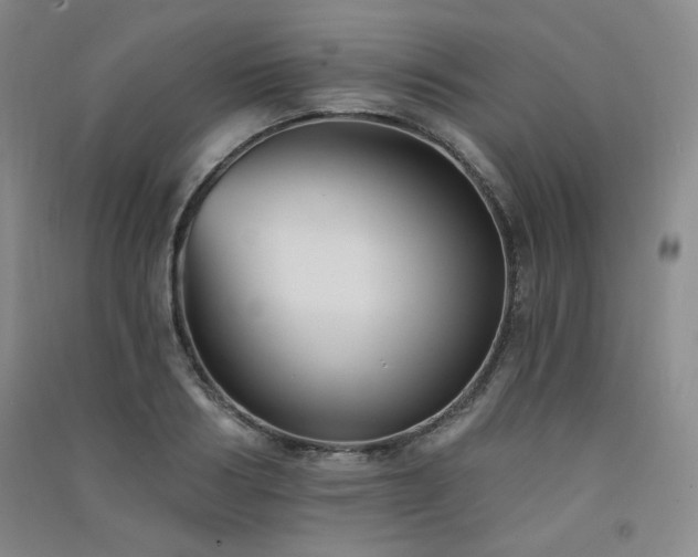 X0000091510986200708171152