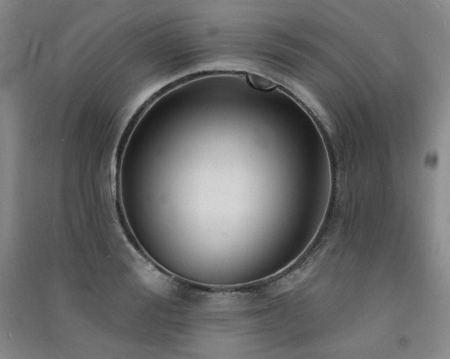 X0000091510988200708171152