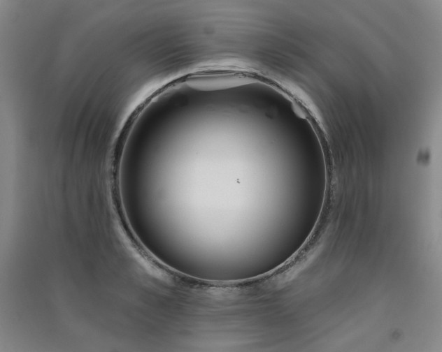 X0000091510989200708171152