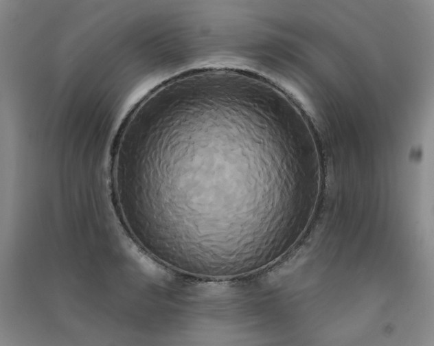 X0000091510990200708171152