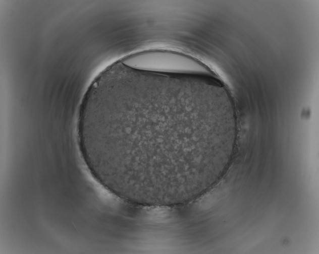 X0000091510991200708171152