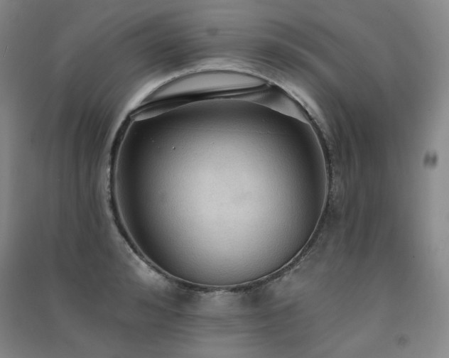 X0000091510992200708171152