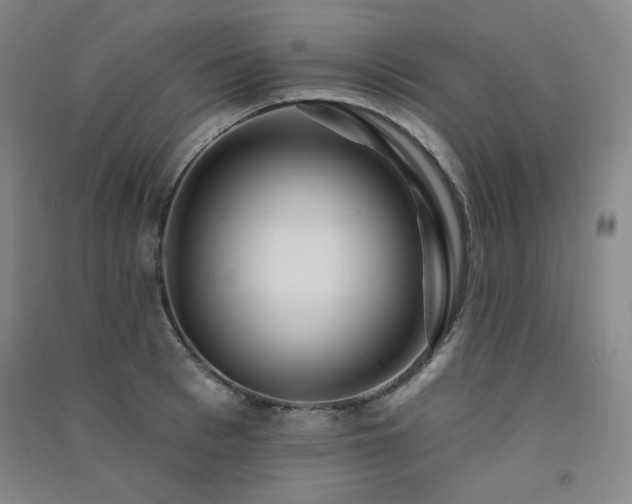 X0000091510993200708171152