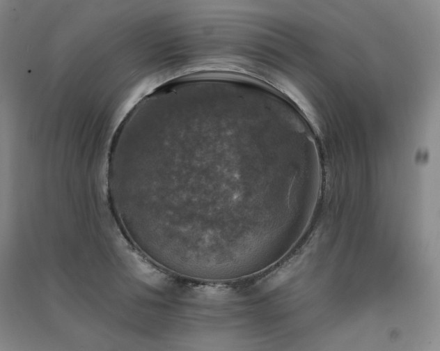 X0000091510994200708171152