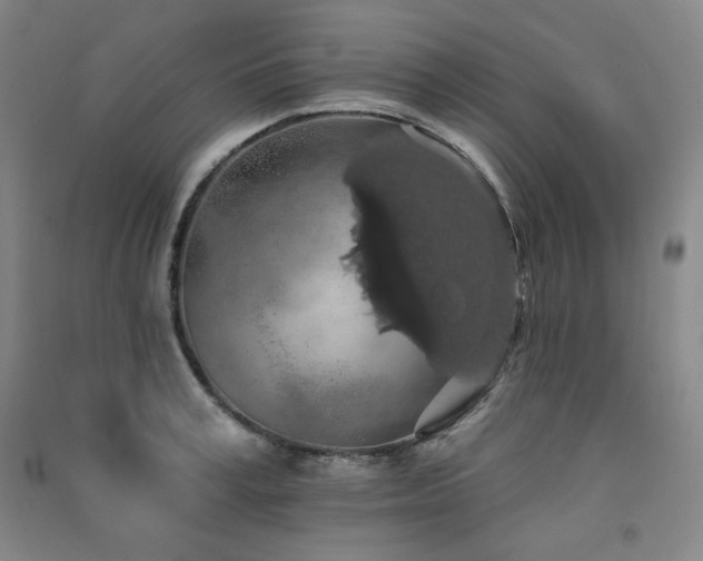 X0000091510995200708171152