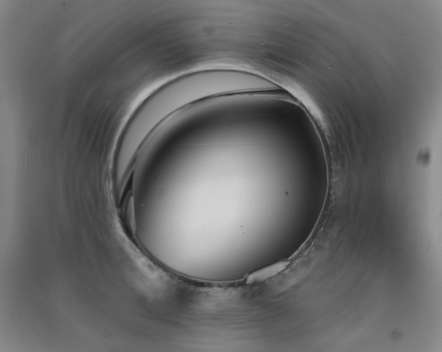 X0000091510996200708171152