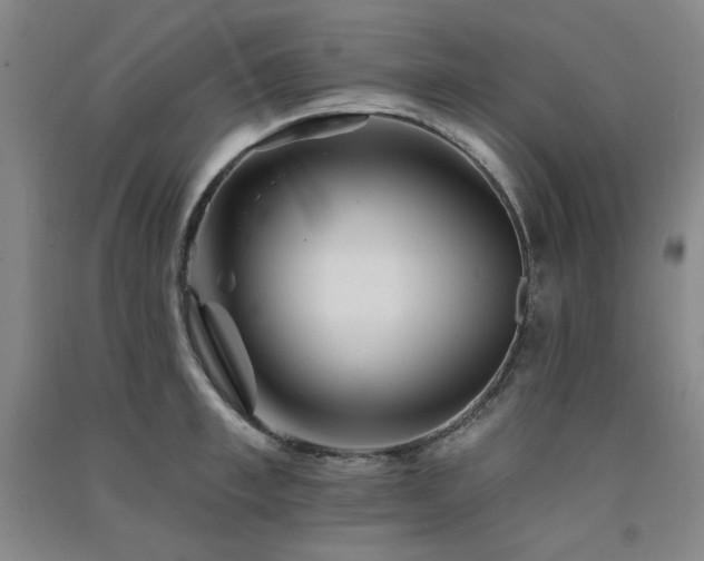 X0000091510997200708171152
