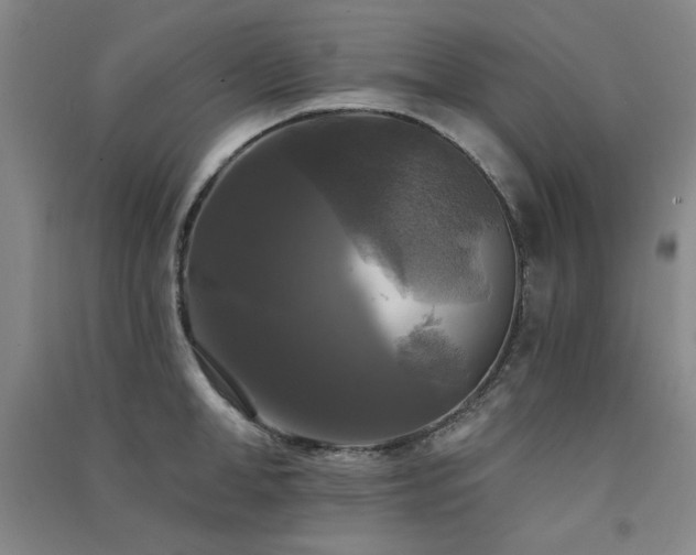 X0000091510998200708171152