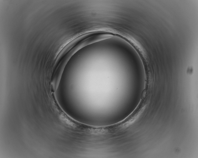 X0000091511001200708171152