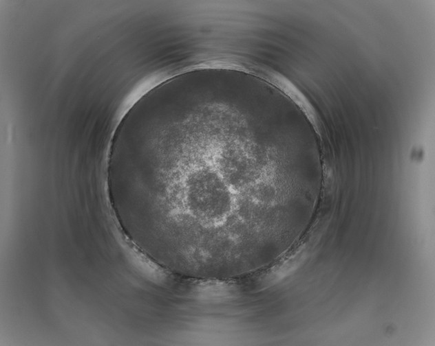 X0000091511002200708171152