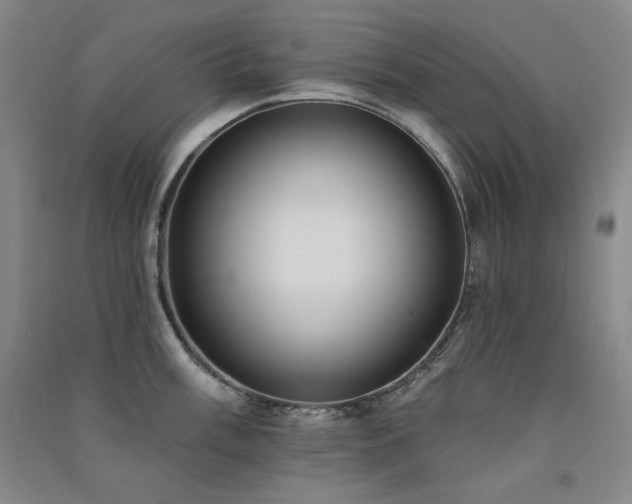 X0000091511003200708171152