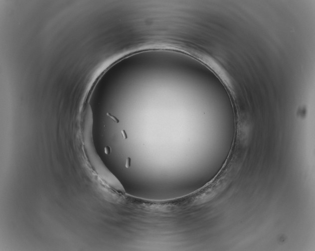 X0000091511004200708171152